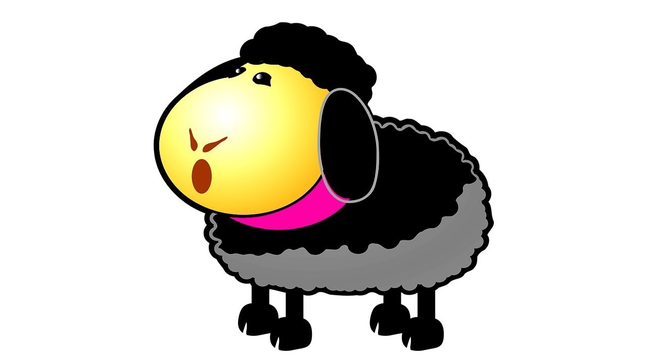 baba black sheep toys