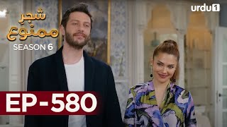 Shajar-e-Mamnu | Episode 580  | Turkish Drama| Forbidden Fruit | Urdu Dubbing | 21st August 2023