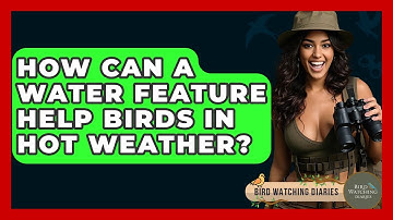How Can A Water Feature Help Birds In Hot Weather? - Bird Watching Diaries