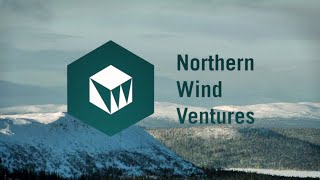 Northern Wind Ventures intro - Auto Stereoscopic 3D by WIZZCOM (presented in 2D)