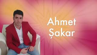 Ahmet Şakar yar Meleke Resimi