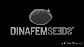 "Best indica strains"