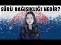 SÜRÜ BAĞIŞIKLIĞI NEDİR?