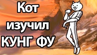 Кот изучил КУНГ ФУ ! ( Battle Cats )