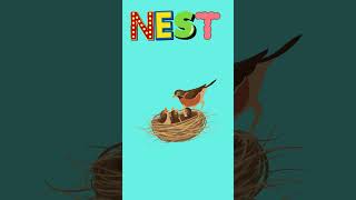today we leran MNO #KidsLearning #ABCLetters #AlphabetSong #KidsLearnWithFun #LearningForKids