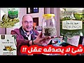 فوائد المورينجا المعجزة شجرة الحياة علاج عشرات الأمراض وللتقويه