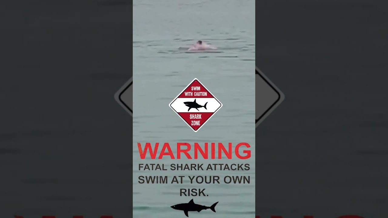Great White Ambush Jaw Dropping Shark Attack Filmed Up Close 