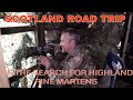 WILDLIFE PHOTOGRAPHY- ROAD TRIP - HIGHLAND SEARCH FOR PINE MARTENS