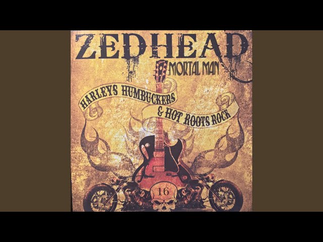 Zed Head - Shotgun