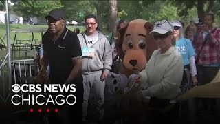 Anti-Cruelty’s BARK: Walk for Chicago’s Animals in Lincoln Park