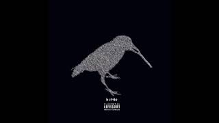 Birds In The Trap Film - The Ends Official Instrumental