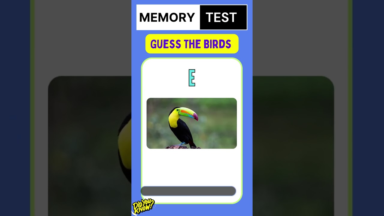 Guess the Bird 2 || 