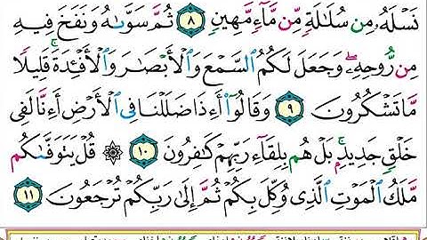 سورة  السجدة الشيخ ياسر الدوسري برواية حفص عن عاصم