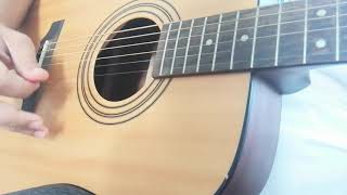Cort ad810e elektro akustik gitar
