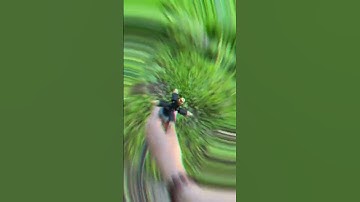 Béc tưới phun sương 5 hướng bằng đồng tưới lan tưới cây