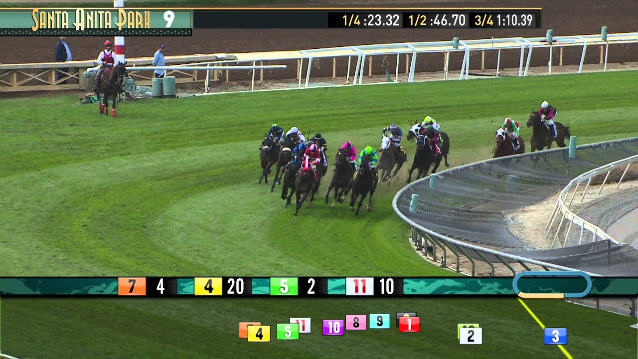 California Cup Turf Classic (Cal-breds) - Saturday, January 30, 2016 HD