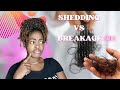 SHEDDING OR BREAKAGE: TELL THE DIFFERENCE BETWEEN BREAKAGE &amp; SHEDDING:  Shedding vs Breakage: PART 2