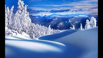 سورة الزخرف - د. يوسف أبو سمرة حنني