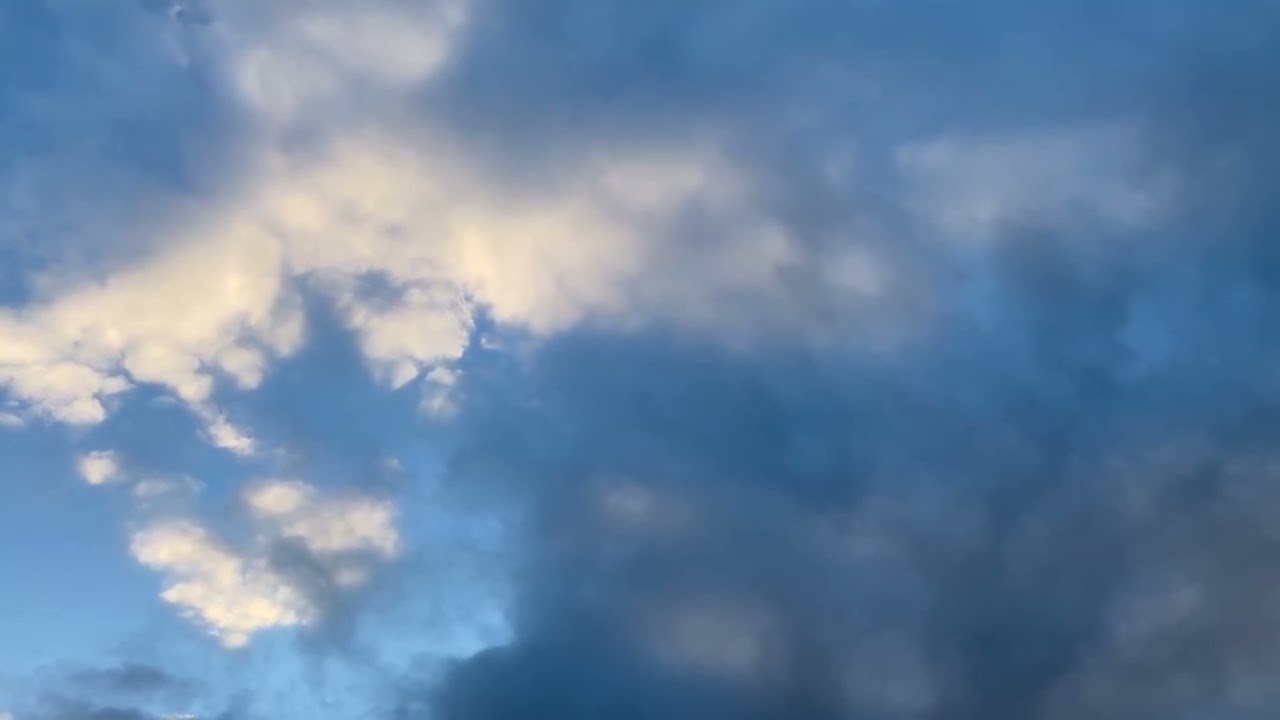 Clouds look like birds.   雲は鳥のように見えます