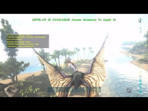 Op maat ambulance tijger How to spawn in a Quetzal Ark Cheat/Admin Commands (Ba...Ark at it again).  - YouTube