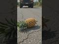 truck is crusing pineapple 🍍😱 #trending #video #aivideo #car #pineapple