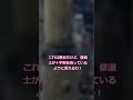 【心霊写真】【あなたは気づける？】ずんだもんが絶句した“写ってはいけないもの”#ずんだもん #心霊写真 #閲覧注意 #よく見ると怖い #見てはいけない #ホラー #怖い話 #心霊現象 #オカルト
