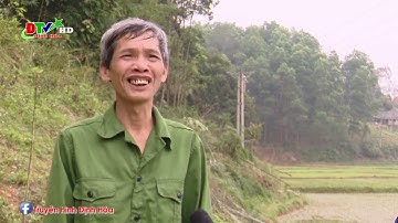 Vi phạm hành lang an toàn lưới điện, nguy hiểm đến tính mạng con người