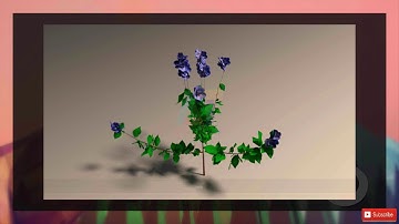 blender sapling tutorial Blender Tutorials