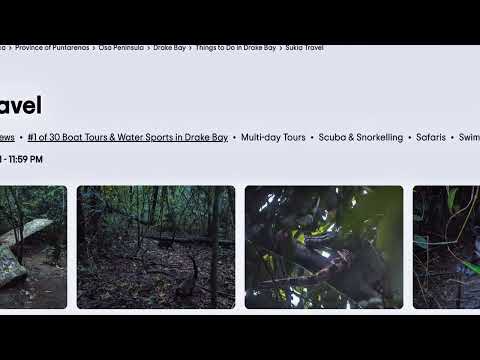 Travelers sharing their experiences with Sukia Travel