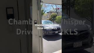 Chamberlain Whisper Drive WD822KLS