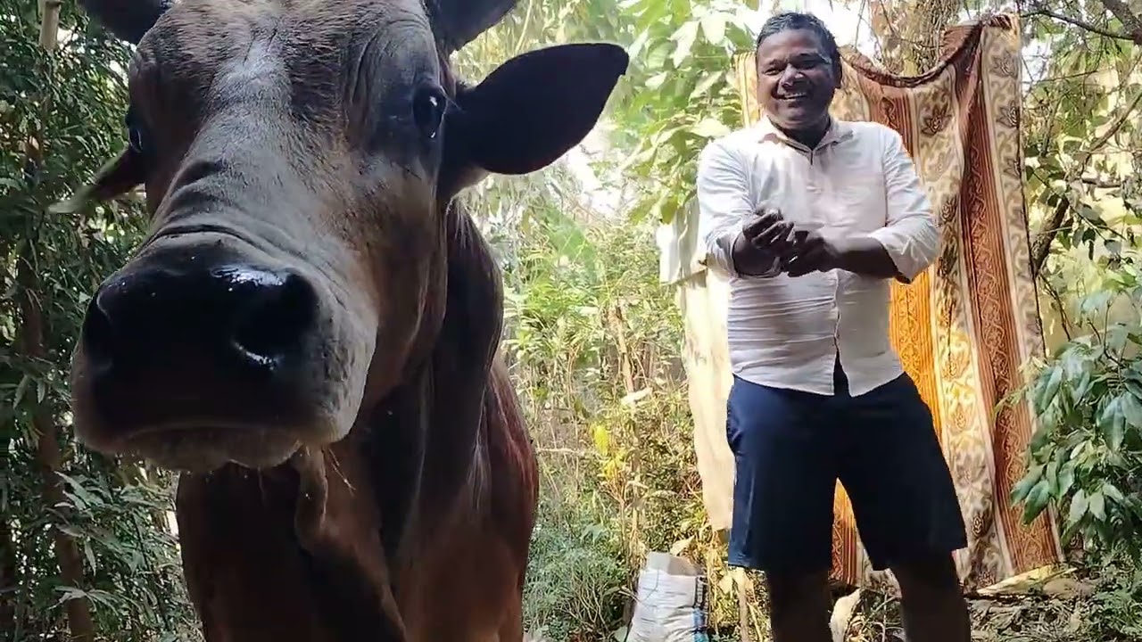 Har Har Mahadev🌺🌺🙏🙏🙏