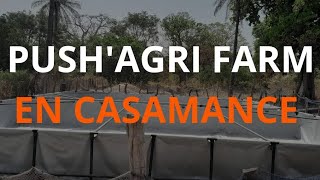 LE FILM D'UNE SÉRIE D'INSTALLATION DE BASSINS EN CASAMANCE .