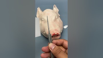 #damascusblade #gravity #edc #knife #outdoor #blade