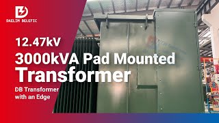 12.47kV 3000kVA Pad Mounted Transformer | Daelim Transformers