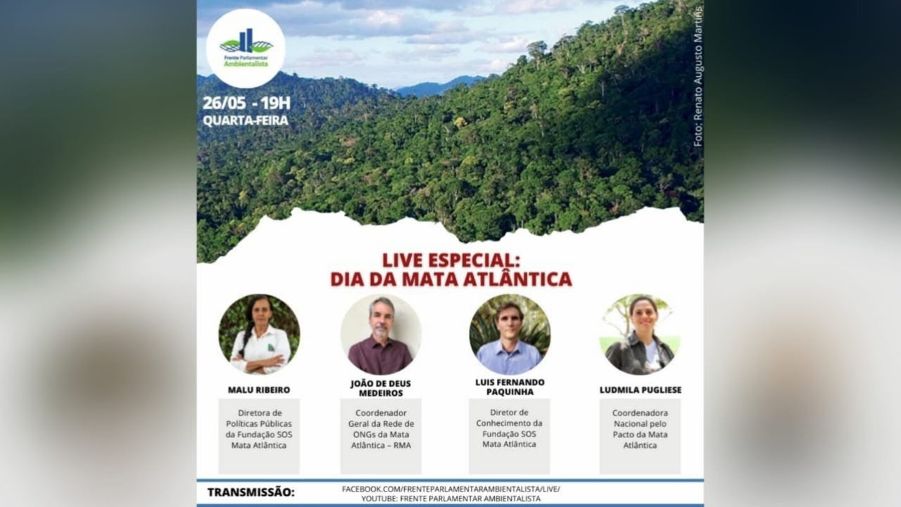 Frente Parlamentar Ambientalista e Fundação SOS Mata Atlântica promovem live para debater o atual co