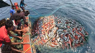 Biggest Marlin Caught In The Deep Sea On The Fourth Day | Deep Sea Fishing