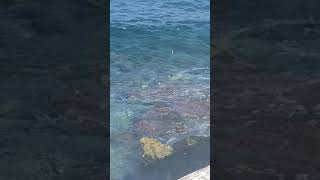 Dalgalar Ben , Duvarlar Ben , Kendime Vura Vura Geçiyor Zaman,