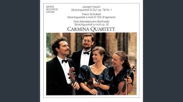 String Quartet in C Minor, D. 703 "Quartettsatz": I. Allegro assai