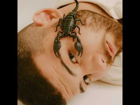 Calin Svědomí Album