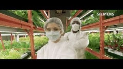 How do we create a better tomorrow, together? - Siemens Financial Services UK