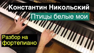 Видеоурок: К.Никольский - Видеоурок: К.Никольский -