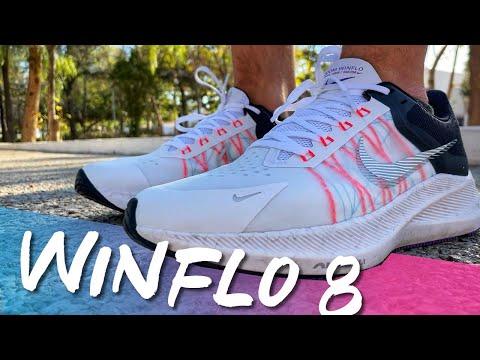Nike Pegasus 36 vs Nike Winflo 6 | Best Budget Nike! - YouTube