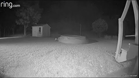 THIS IS THE MOST INSANE FOOTAGE EVER CAPTURED ON A RING CAM!!