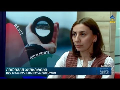 საერთაშორისო ტექნოლოგიური კომპანიების დაბეგვრის მექანიზმი საქართველოში