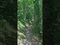 La Savoie provençale ? 🌳