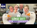 Weihnachten ist Gänsezeit - Landgasthof zwischen Tradition und neuen Ideen | Die Nordreportage | NDR