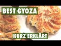 Gyoza japanische teigtaschen selbst zubereiten  einfach japanisch kochen