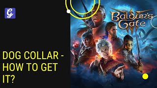 Dog Collar Baldur's Gate 3 - How to Get It?