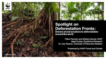 REDD+ Learning Session 70: Spotlight on Deforestation Fronts