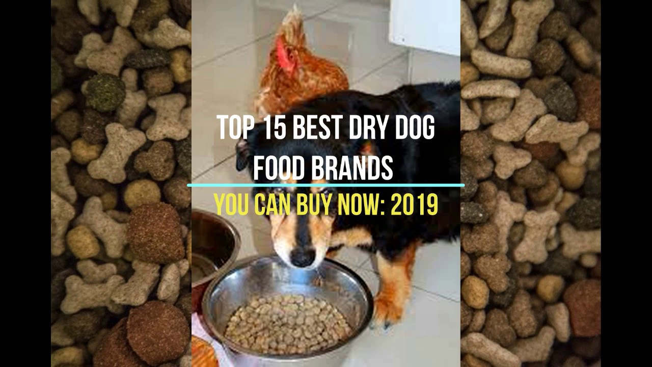 Top 15 Best Dry Dog Food Brands You Can Buy Now: 2019 - YouTube